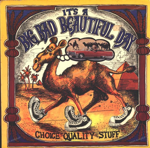 Beautiful day choice - beautiful,