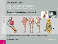 Bild-Text-Atlas zur Anatomie