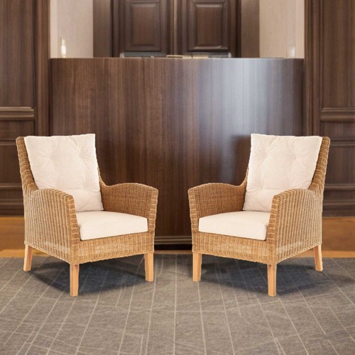 Set eleganter rattansessel - set/2,
