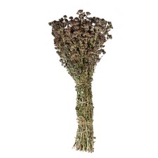 Sauna-Kräuter für Aufgüsse  getrocknete Heilkräuter für Banja – 14 Sorten