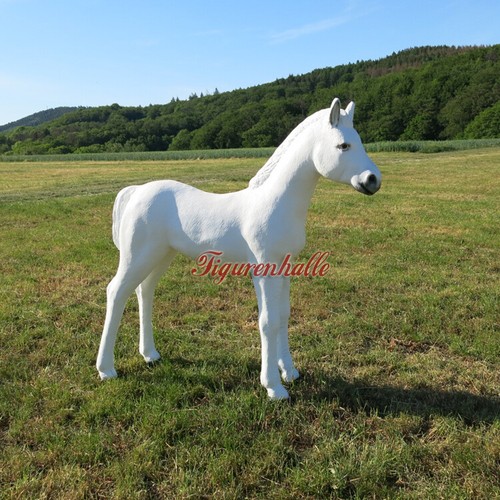 Pferd fohlen figur lebensgroß - pferd,