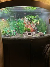 Trigon 190 Aquarium mit  neuer LED Beleuchtung Kpl. und gebraucht in guten Zust.