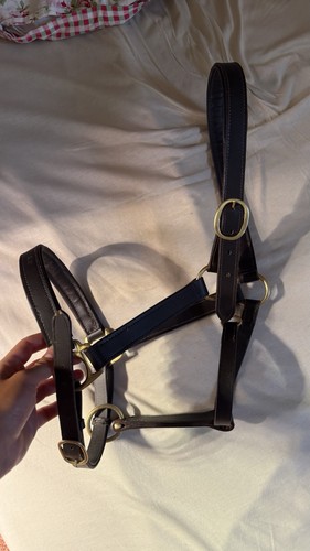 Lederhalfter gold braun - gold,