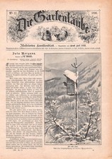 Der erste Star - Lothar Meggendorfer - 1896 - Historisches Titelblatt ~22x31cm