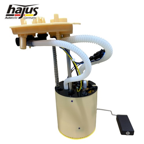 Hajus