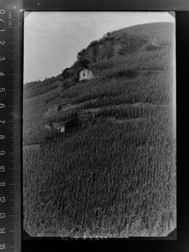 30027690 5553 wehlen mosel - -,