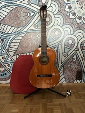 Yamaha Akustikgitarre  Eterna EC-12 Inkl. Tasche, Ständer Und Stimmgerät