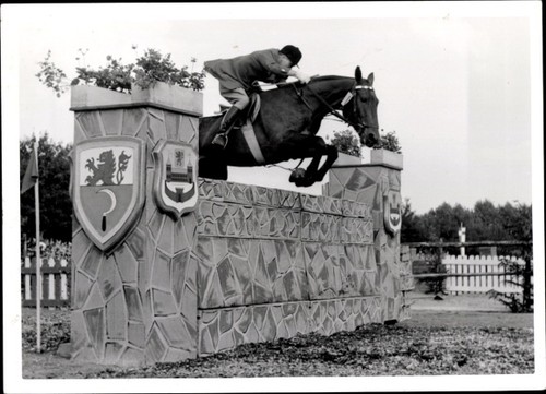 Foto springreiten sprung - springreiten,,