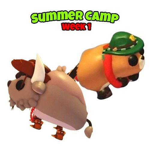 Adopt summer camp - camp, update
