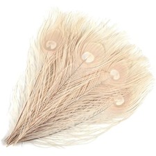 Pfauenfedern, Natur, Handwerk