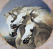 ARABER PFERDE John Frederick