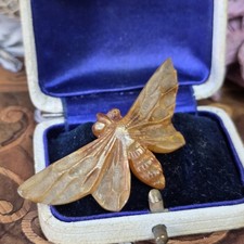 Jugendstil Brosche, Schmetterling, wohl Kunststoff