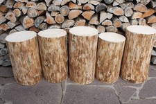 XL Baumstamm Holzstamm # 41