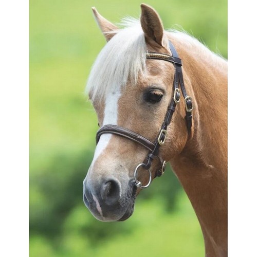 Shires blenheim drahtreifen - drahtreifen, in