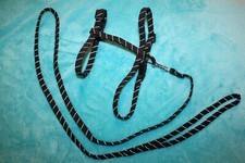 Hundeleine 120 ⭐ + Geschirr