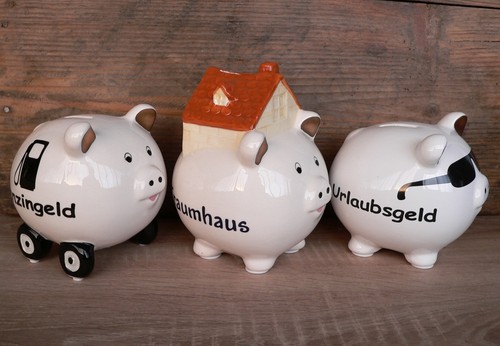 Sparschwein benzingeld - sparschwein,