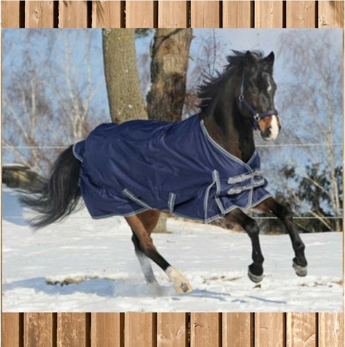 Everline paddockdecke move - paddockdecke,