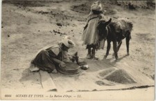 CPA AK ALGERIEN Die Gerstenration - Szenen und Typen (1145165)