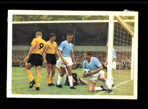 Borussia dortmund tsv 1860 - borussia,