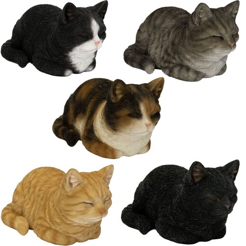 Vivid arts cat dreaming harz - dreaming,