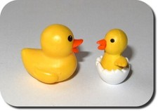 Miniatur Ente mit Entenküken