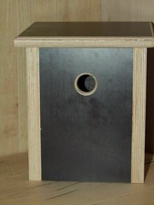 Vogelhaus, Nistkasten