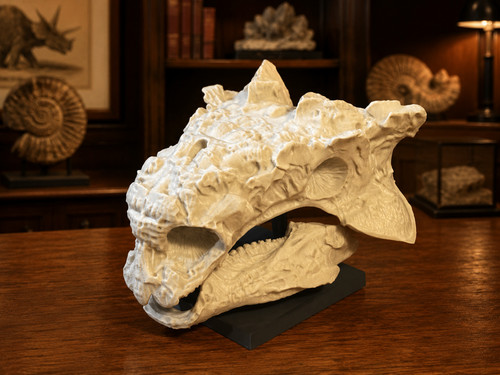 Ankylosaurus schädel weiß - schädel,