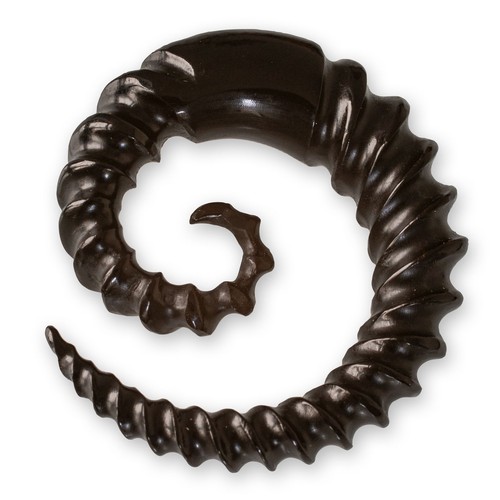 Horn dehnungsspirale piercing - dehnungsspirale,