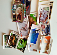 Große Sammlung Sammelbilder WWF für Album Konvolut