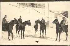 Pferde Fliegenmaske Gesichtsschutz Reiten Privatfoto