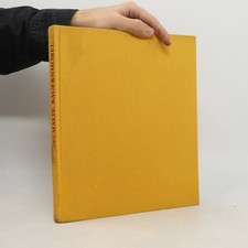 Alte bemalte Bauernmöbel 