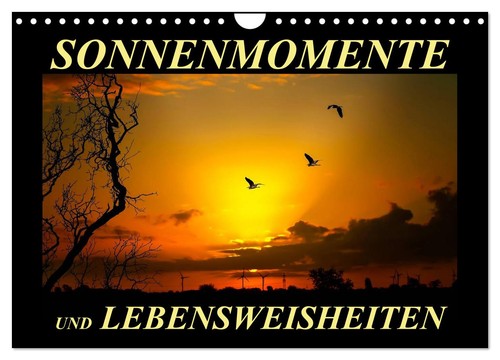 Sonnenmomente und