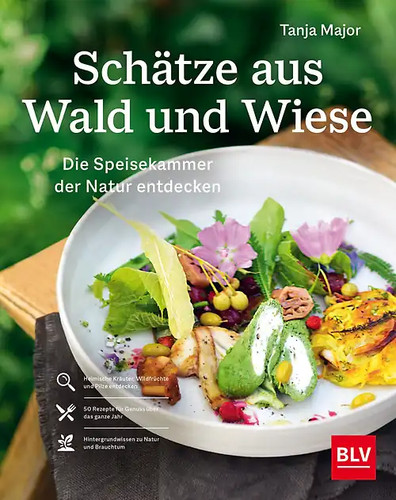 Schätze aus wald - wald, und