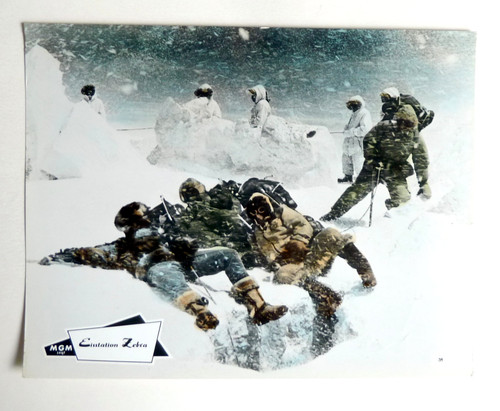 Eisstation zebra rock hudson - eisstation,