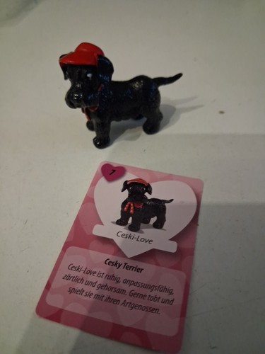 Chi love and - and, simba