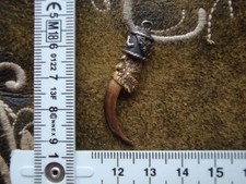 Charivari  Kralle Greifvogel