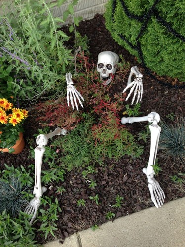 Halloween skelett garten - garten, deko