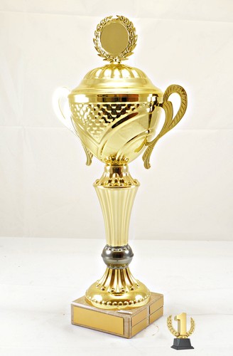 Wanderpokal goldfarben cm - goldfarben, 53