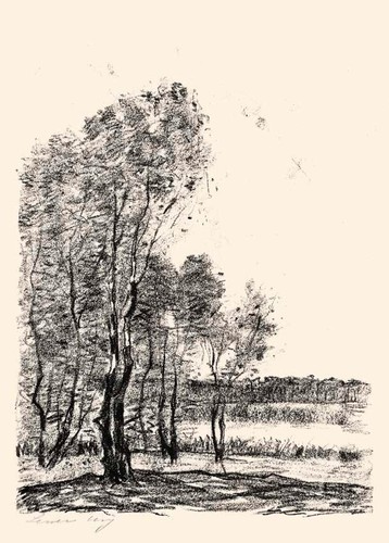 Lesser ury birken am - -,