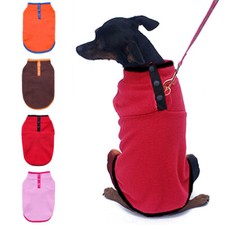 Kleidung Kleine Chihuahua