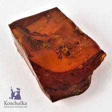 Natur Fossilien Baltischer Bernstein, Insekten Einschluss, Original (9438EB)