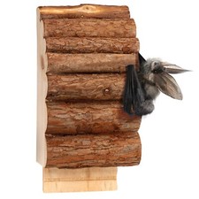 ® Fledermausbox aus Holz | Nistkasten für Fledermäuse zum Aufhängen | ...