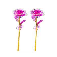 24K Galaxy Rose bunte