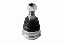 ACKOJA Traggelenk vorne unten