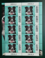 Bund Mi. Nr. 3837 Haustiere Hund Border Collie, Zehnerbogen, postfrisch