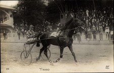 Ak Trabrennen, Pferd Tiego, Sulky, Jockey, Zuschauertribüne - 10609730