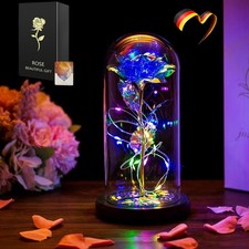 2025 Ewige Rose Glas mit LED-Licht Geschenk für Mutter Weiblich Geburtstag NEU