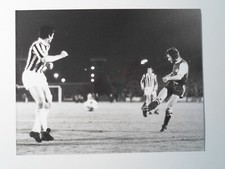 Köln juventus turin - 1.fc, köln-juventus