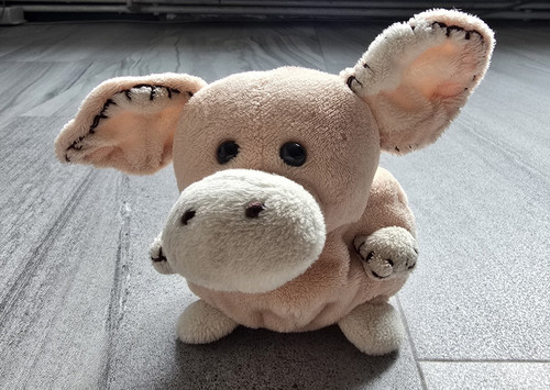 Plüschschwein/Schweinchen