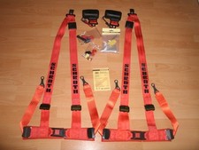 Schroth Gurte Rallye 3a  ASM I